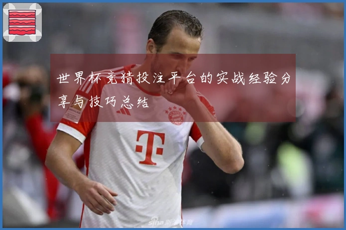 世界杯竞猜投注平台的实战经验分享与技巧总结