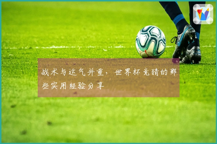 战术与运气并重，世界杯竞猜的那些实用经验分享