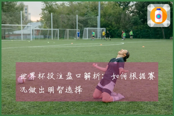 世界杯投注盘口解析：如何根据赛况做出明智选择