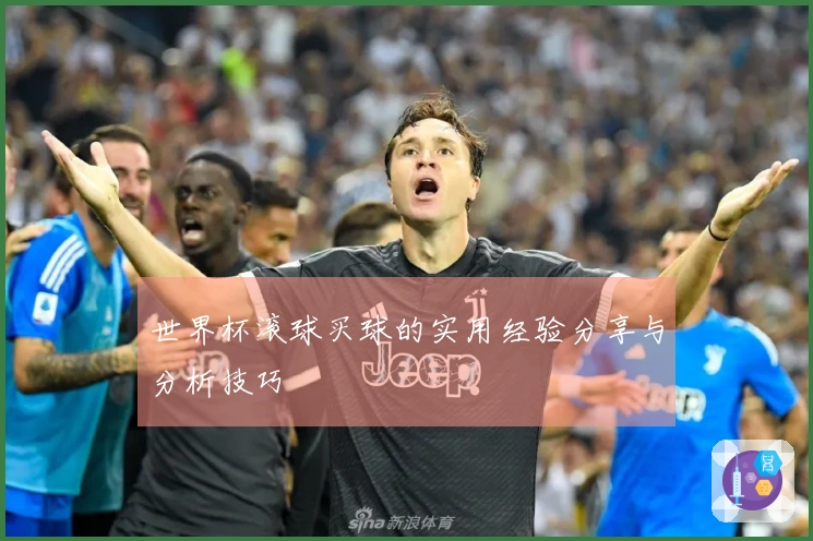 世界杯滚球买球的实用经验分享与分析技巧