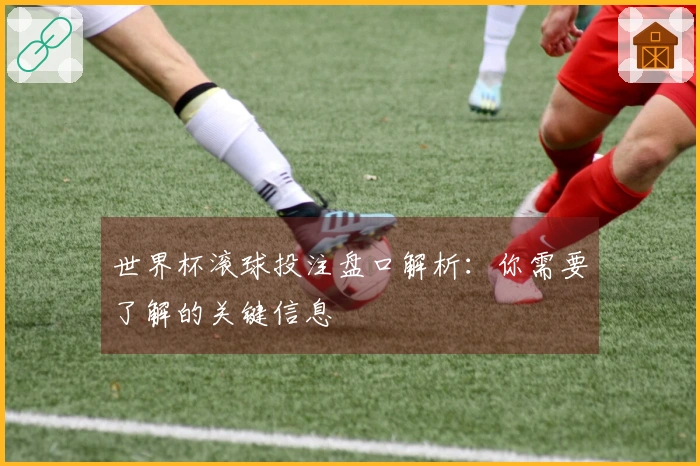 世界杯滚球投注盘口解析：你需要了解的关键信息