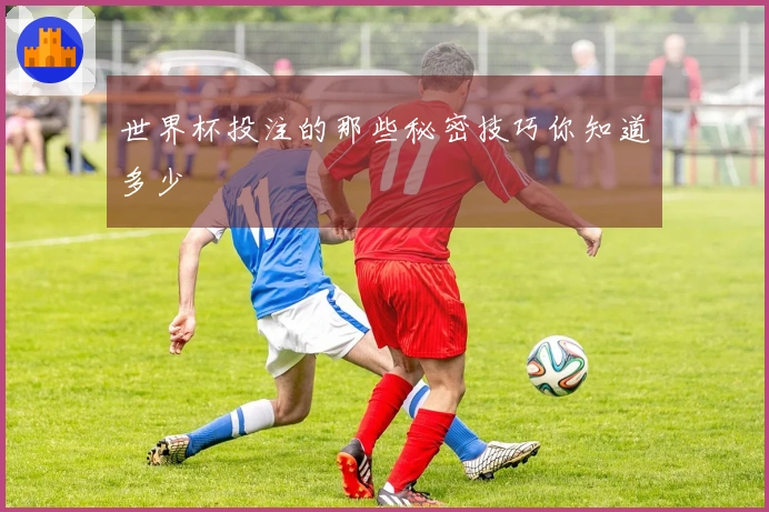 世界杯投注的那些秘密技巧你知道多少