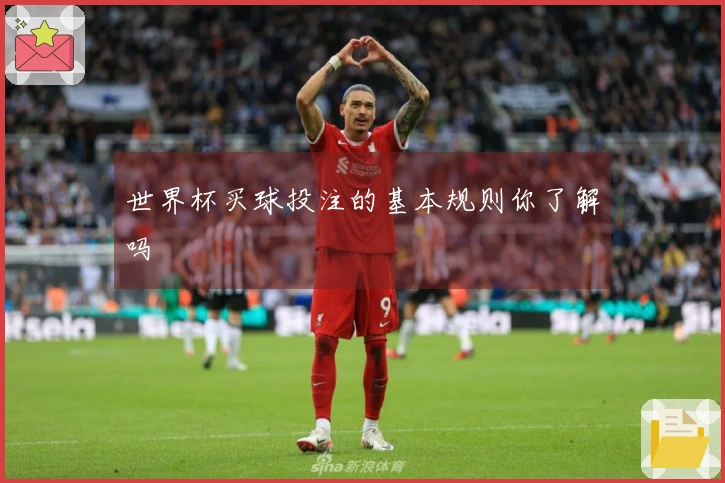世界杯买球投注的基本规则你了解吗