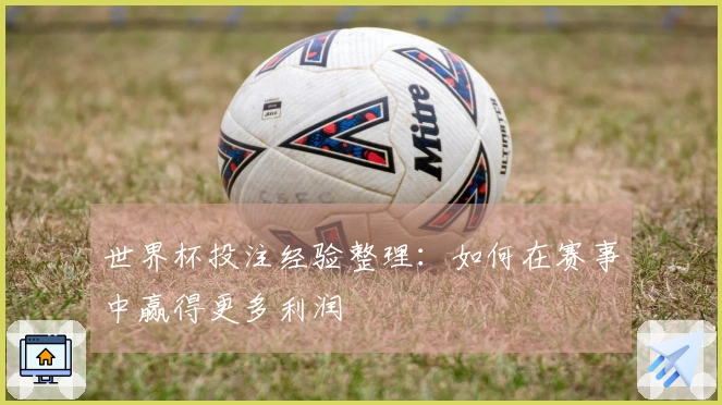 世界杯投注经验整理：如何在赛事中赢得更多利润