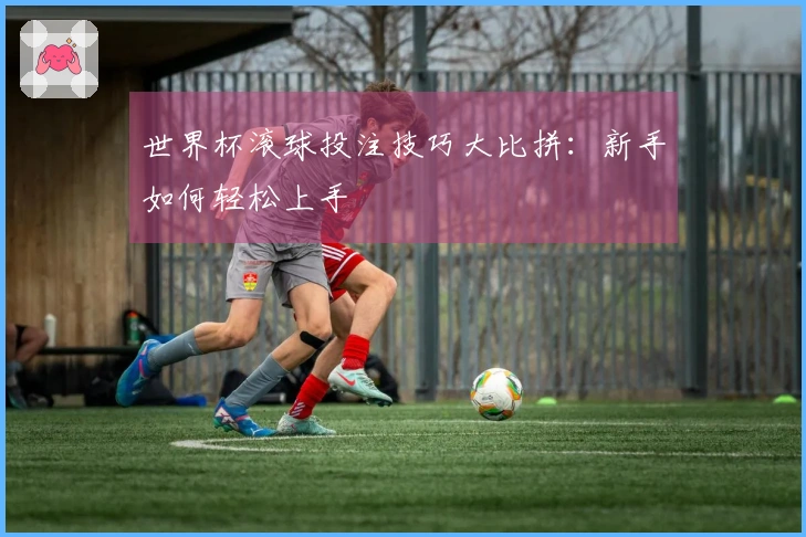 世界杯滚球投注技巧大比拼：新手如何轻松上手