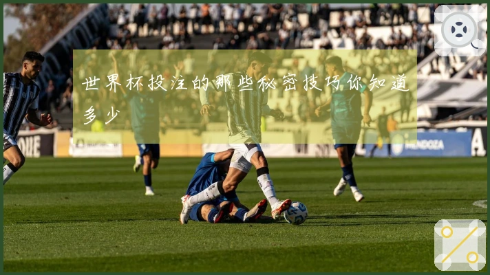世界杯投注的那些秘密技巧你知道多少