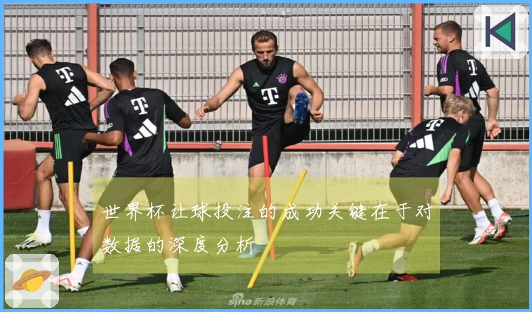 世界杯让球投注的成功关键在于对数据的深度分析