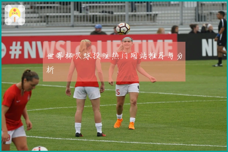 世界杯买球投注热门网站推荐与分析