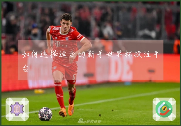 如何选择适合的新手世界杯投注平台