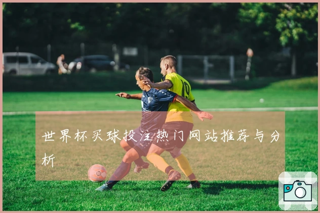 世界杯买球投注热门网站推荐与分析
