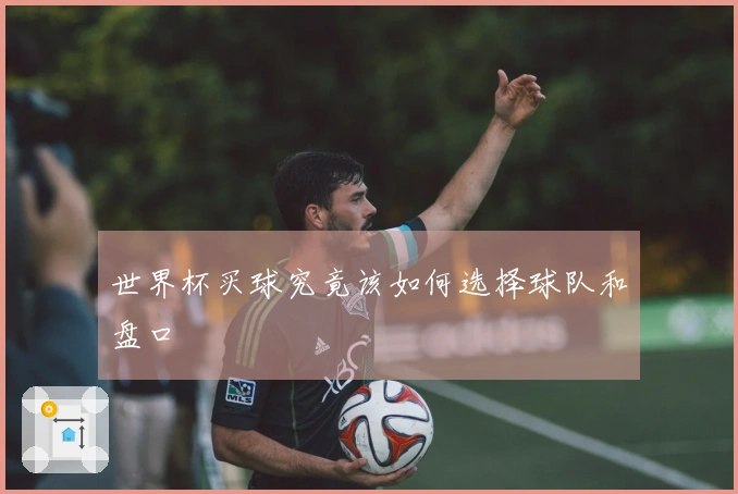 世界杯买球究竟该如何选择球队和盘口