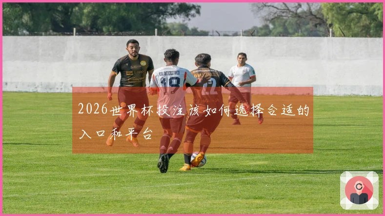2026世界杯投注该如何选择合适的入口和平台
