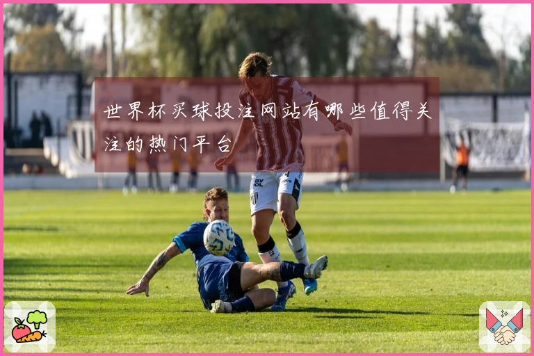 世界杯买球投注网站有哪些值得关注的热门平台