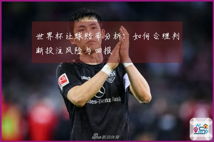 世界杯让球赔率分析：如何合理判断投注风险与回报