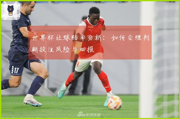 世界杯让球赔率分析：如何合理判断投注风险与回报
