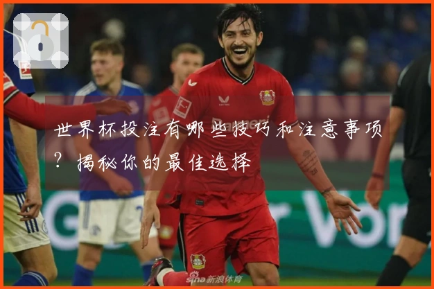 世界杯投注有哪些技巧和注意事项？揭秘你的最佳选择