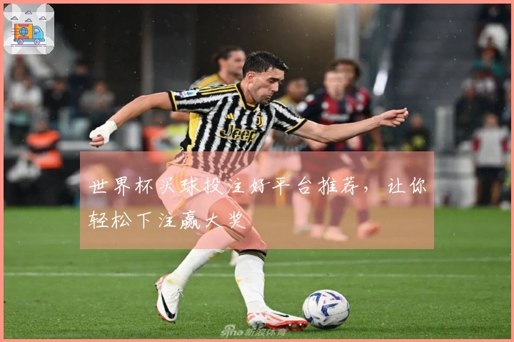 世界杯买球投注好平台推荐，让你轻松下注赢大奖