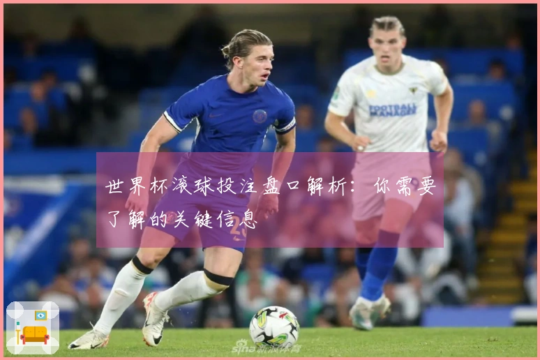 世界杯滚球投注盘口解析：你需要了解的关键信息