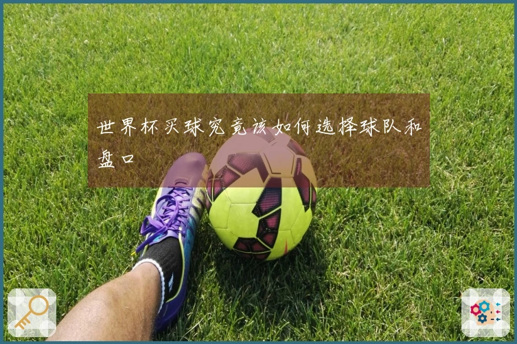 世界杯买球究竟该如何选择球队和盘口